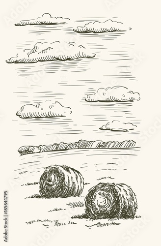 Harvesting of the suffering. A haystack on the background of farmland