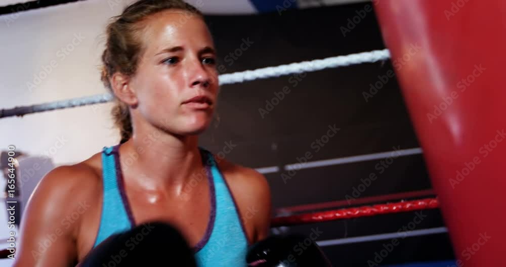 Boxer practicing boxing with punching bag Boxer practicing boxing with punching bag