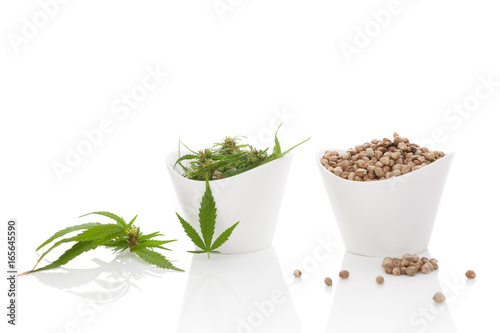 Cannabis seeds and buds.