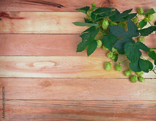 A branch of hops with cones and leaves on an old wooden background.