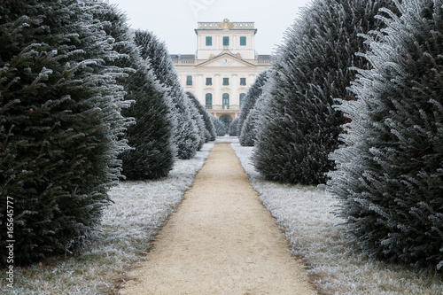Esterhazy castle backyard in winter with dirt road, Fertod