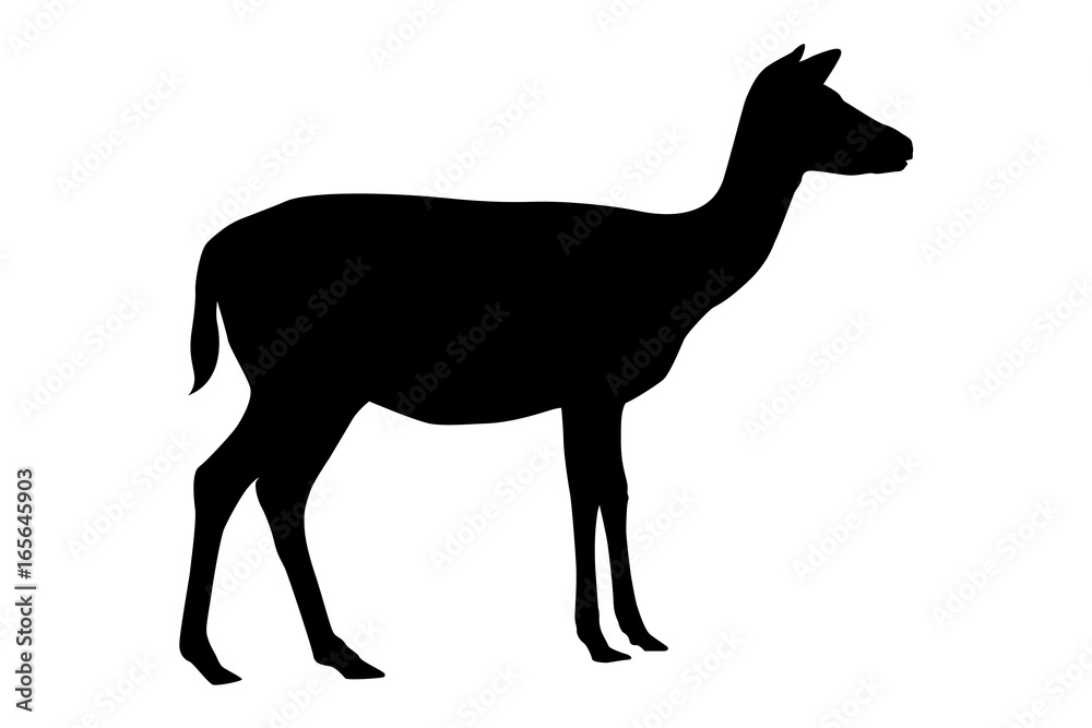 Obraz premium Small sika deer. Black silhouette