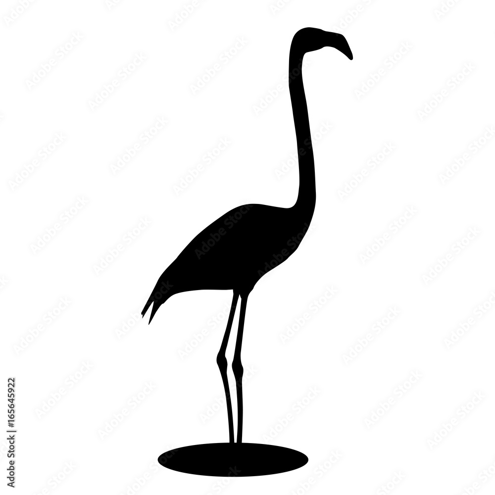 Flamingo. Black silhouette Flamingo. Black silhouette