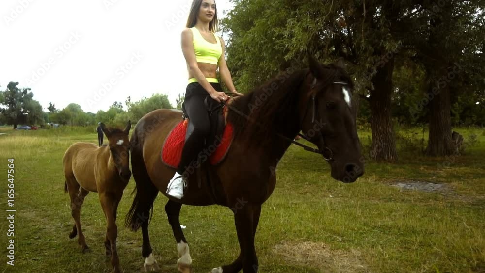 girl riding her horse with foal walks aside girl riding her horse with foal walks aside