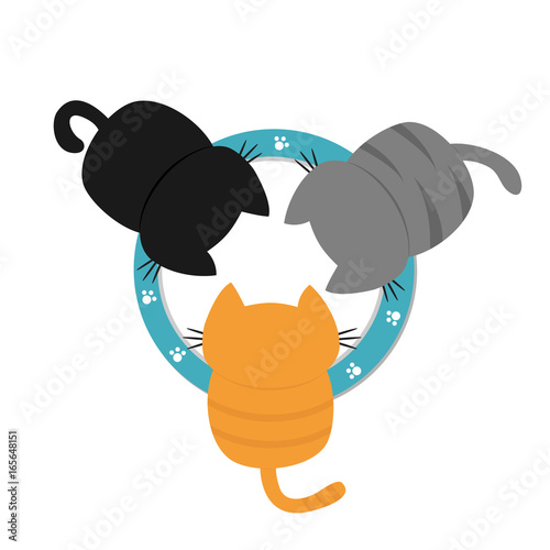 Three kittens drinking eating milk from bowl plate. Paw print pattern. Funny kawaii baby kitty animal family. Cat feeding concept. Cute cartoon pet character set. Flat design White background