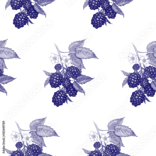 Vector seamless floral pattern with blackberry.