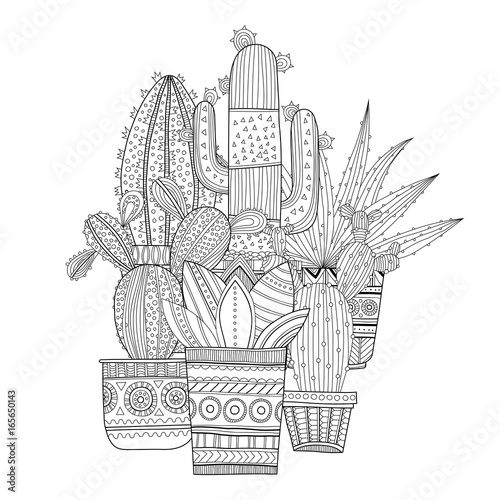 Cacti, succulents. Black and white illustration for coloring books, pages.