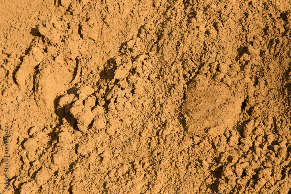 Sand surface for background, top view. Sand surface for background, top view.