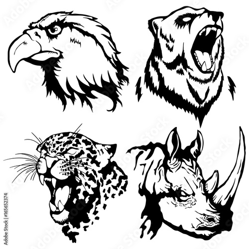 Isolated illustration of a head of an eagle, a bear, a leopard and a rhinoceros