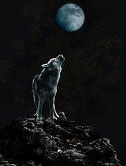 Wandcirkels Wolf Eenzame wolf huilt naar de maan  © ortlemma