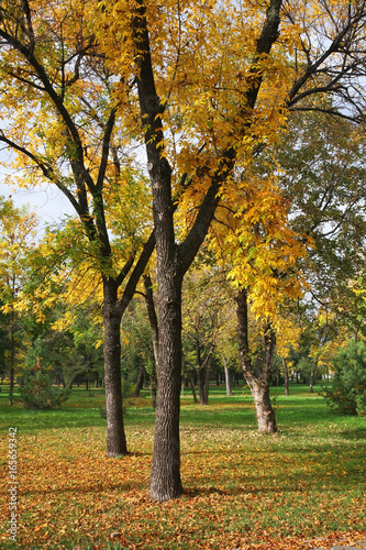 Park in Nis fortress. Serbia