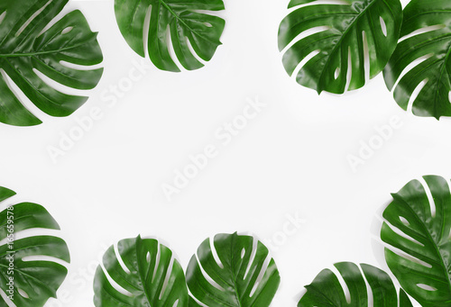 green palm leaf branches on white background. flat lay  top view