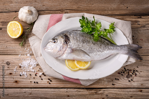 Sea bream - Orata photo