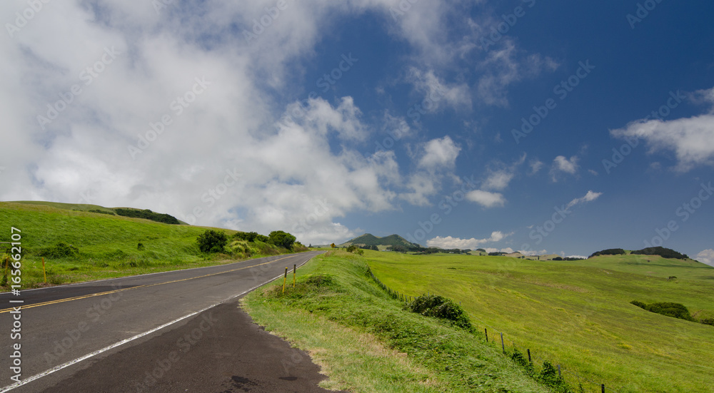 Kohala Mountain Highway between Hawi and Waimea Kohala Mountain Highway between Hawi and Waimea