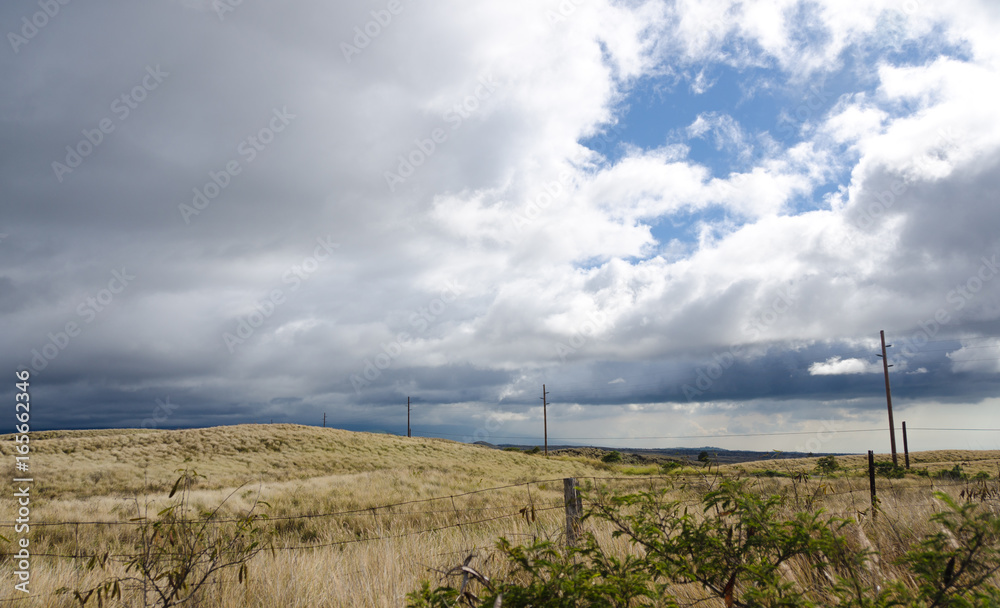 Fototapeta premium Ranch near Mamalahoa highway