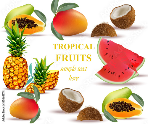 TRopical fruits Vector collection. Fresh ananas, mango, coconut, papaya Water...