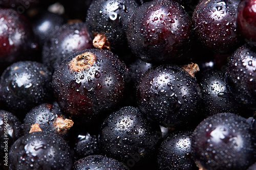 Black currant with water drops.top view.Fresh berries.Harvest of berries.Texture.Closeup