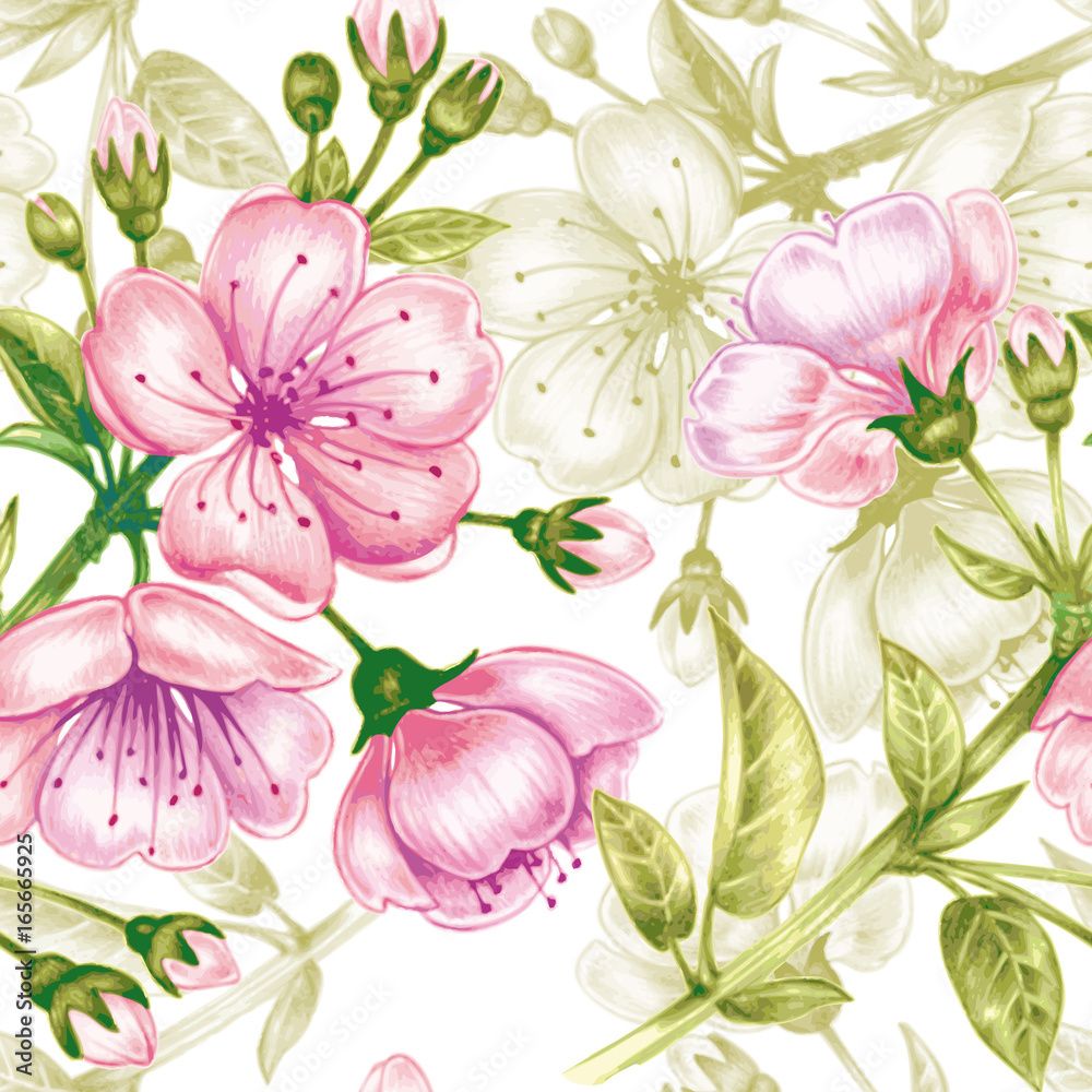 Vector seamless pattern with cherry blossom.