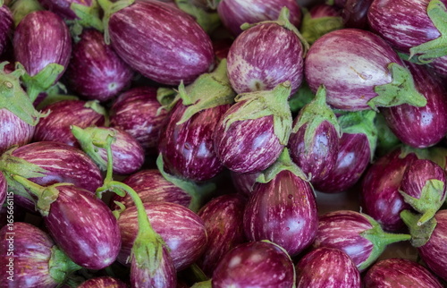 Small Edirne Purple Striped Eggplants for sale at local street market. Provence. France
