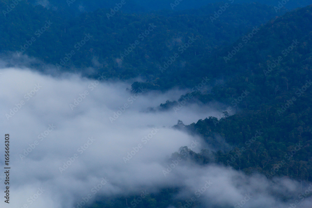 blue mountains in nature under white cloud blue mountains in nature under white cloud