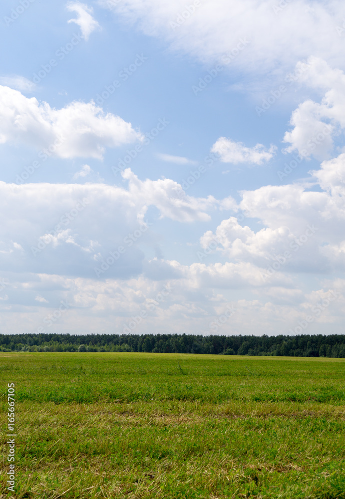 white clouds in the sky  over the field and forest. background, nature