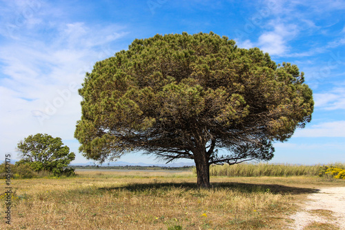 Sud de France