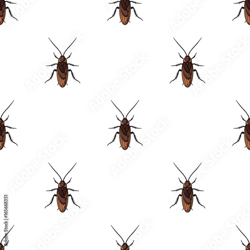 Cockroach icon in cartoon style isolated on white background. Insects symbol stock vector illustration.