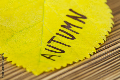 Autumn yellow leaf with inscription Autumn on the wooden background. Selective focus, closeup