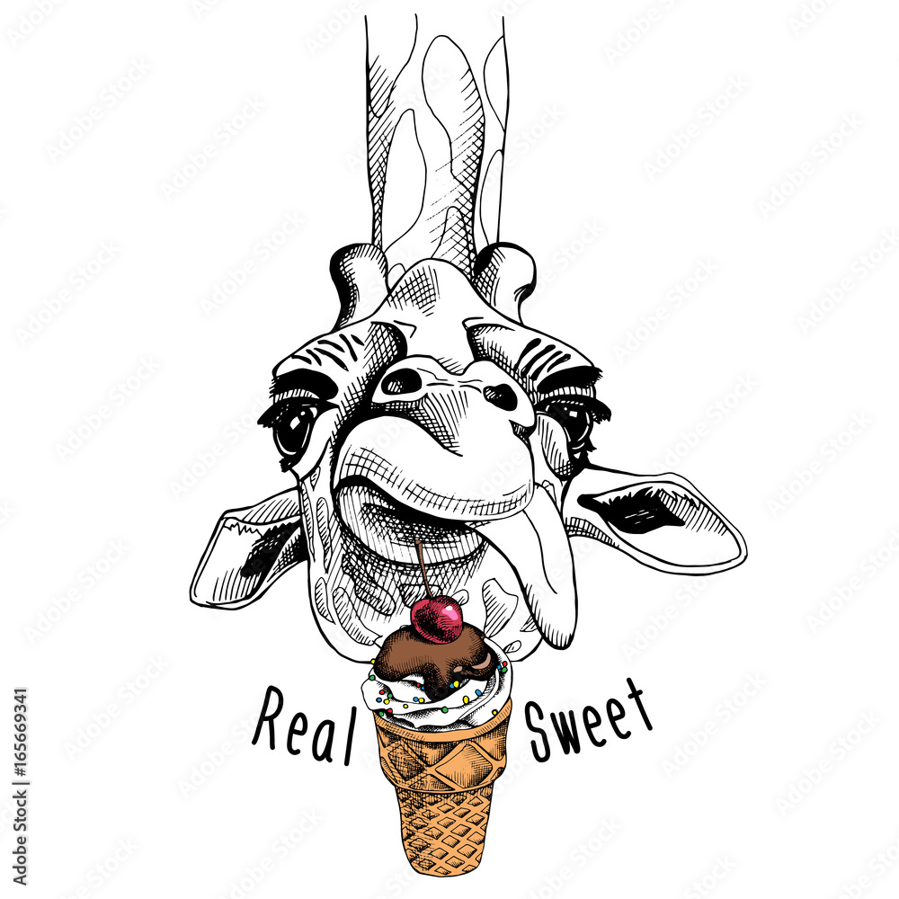 Naklejka premium Portret żyrafa z lodami i wiśnią. Ilustracji wektorowych.