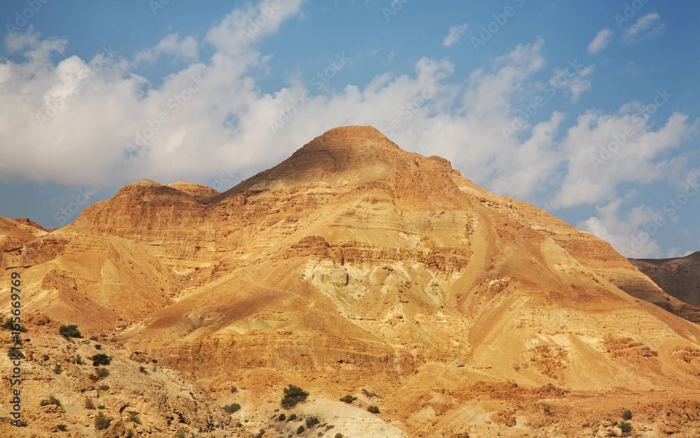Ein Gedi national park. Israel