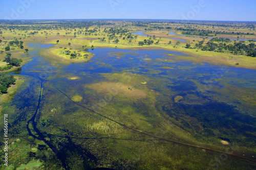 Aerial photo of Okavango Delta, Botswana, Africa photo