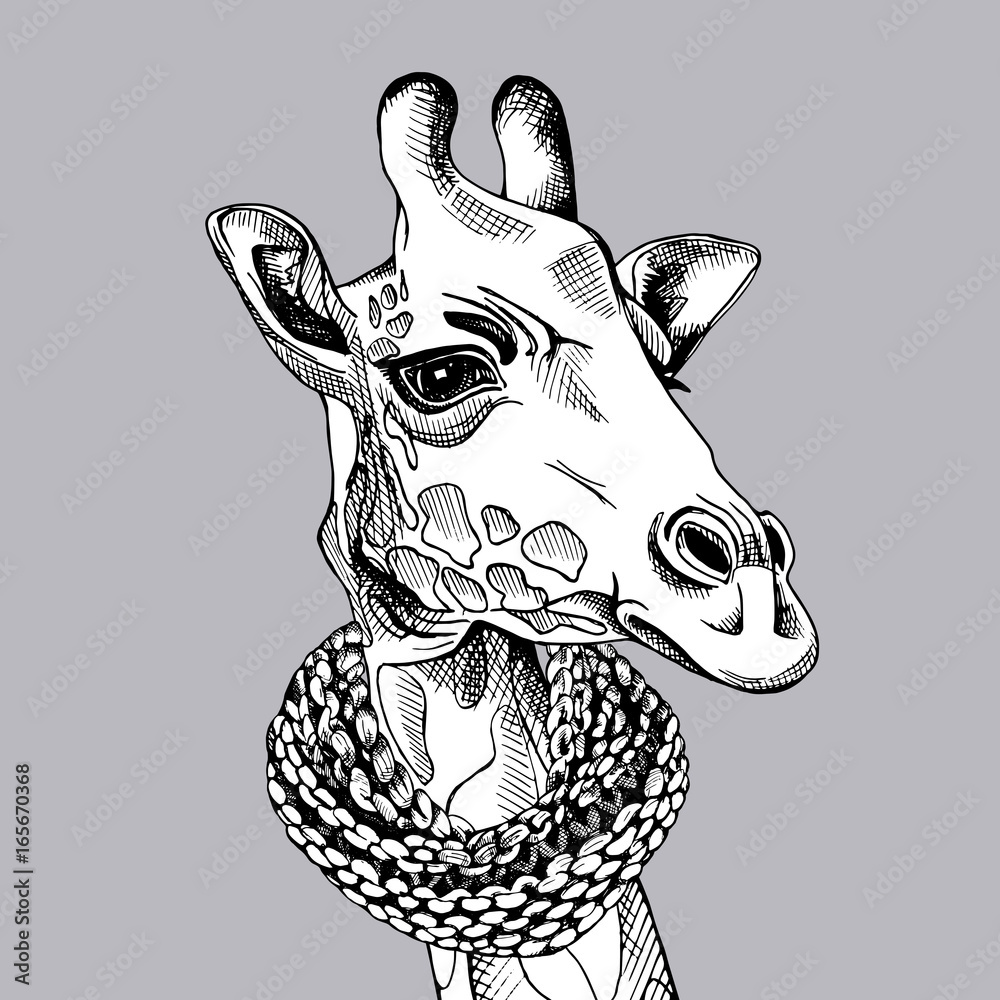 Fototapeta premium Giraffe portrait in a scarf on gray background. Vector illustration. 
