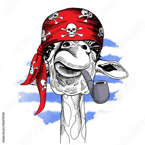 Giraffe portrait with a pirate's bandana and with tobacco pipe on blue striped background. Vector illustration.