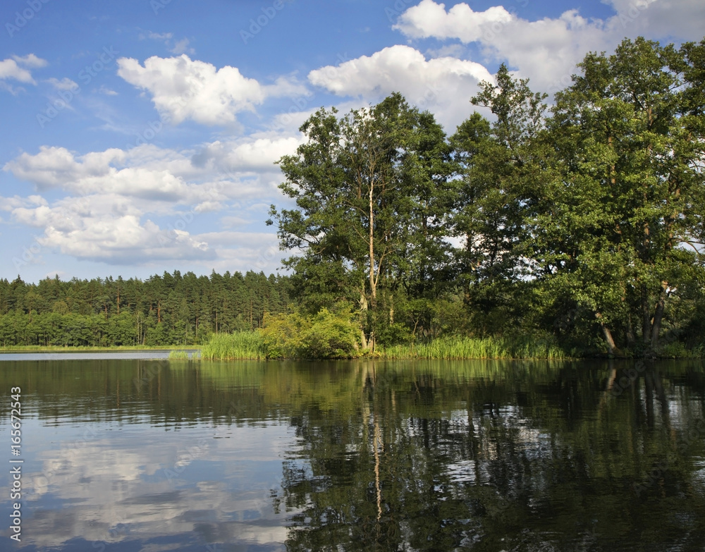 Fototapeta premium Rospuda lake near Augustow. Poland