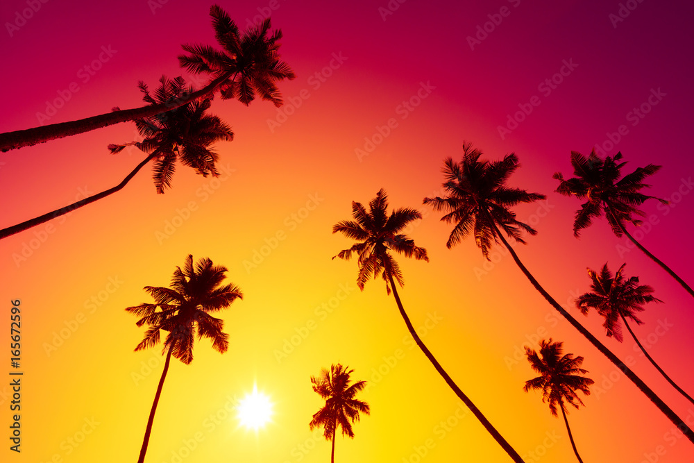 Palm trees at vivid tropical beach sunset with shiny sun