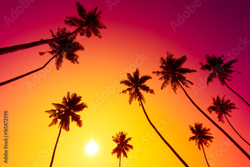 Palm trees at vivid tropical beach sunset with shiny sun