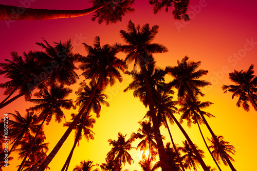 Fototapeta Naklejka Na Ścianę i Meble -  Tropical beach sunset with palm trees silhouettes and shining summer sun