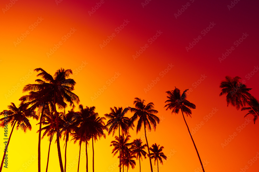 Tropical beach sunset with coconut palm trees silhouettes and sky as copy space