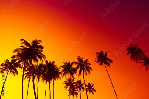 Tropical beach sunset with coconut palm trees silhouettes and sky as copy space © nevodka.com