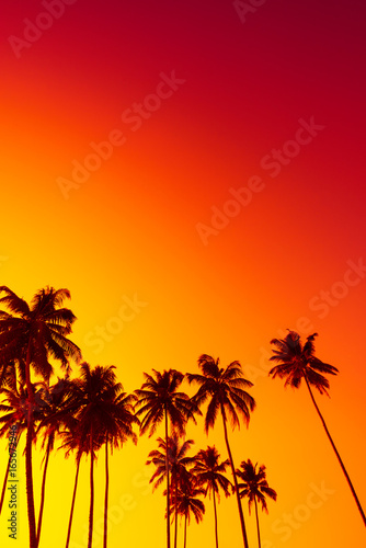 Fototapeta Naklejka Na Ścianę i Meble -  Tropical sunset with palm trees silhouettes and copy space