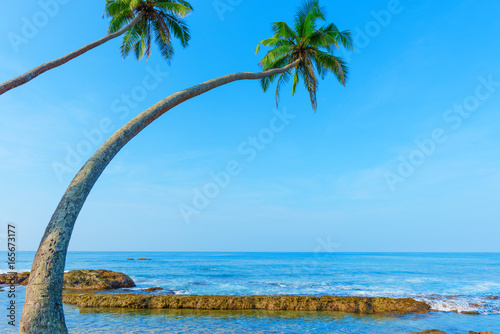 Two coconut palm trees hanging over the ocean beach on tropical island with copy space