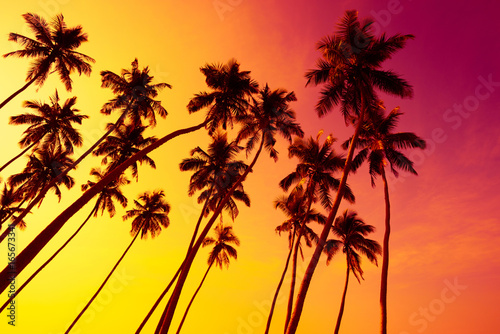 Tropical beach sunset with coconut palm trees silhouettes © nevodka.com