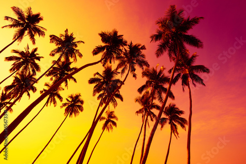 Tropical beach sunset with coconut palm trees silhouettes