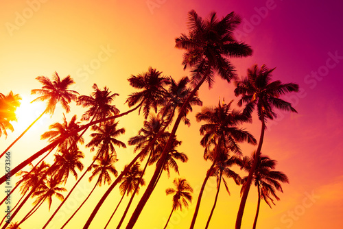 Tropical beach sunset with palm trees silhouettes and shining summer sun © nevodka.com