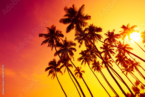 Tropical sunset beach with palm trees silhouettes and shining sun © nevodka.com