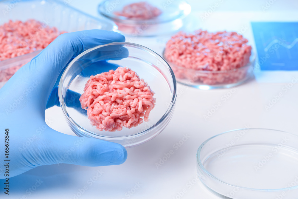 Meat sample in lab petri dish Meat sample in lab petri dish