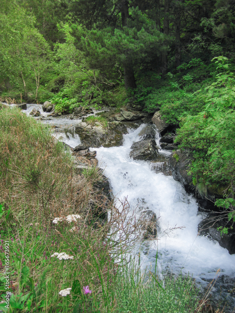 Obraz premium Riachuelo de montaña