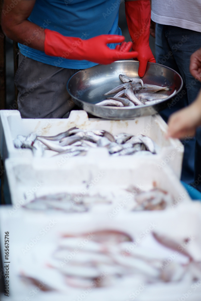 A trader at the fish market puts the fish in a cup of weights