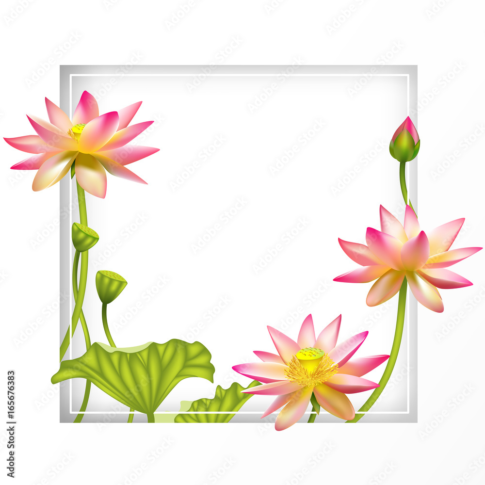 Pink lotus. Beautiful floral background. Buddhism. Square flower frame.  Border. SPA-center. Eastern philosophy. India. Water lily. Health. Cosmetics.  Stock Vector | Adobe Stock