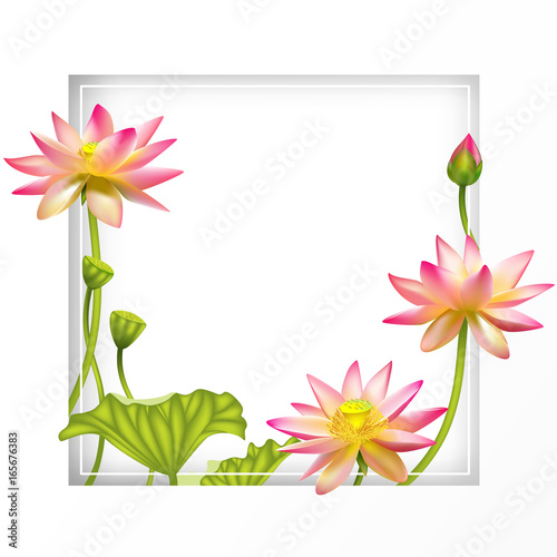 Pink lotus. Beautiful floral background. Buddhism. Square flower frame. Border. SPA-center. Eastern philosophy. India. Water lily. Health. Cosmetics.